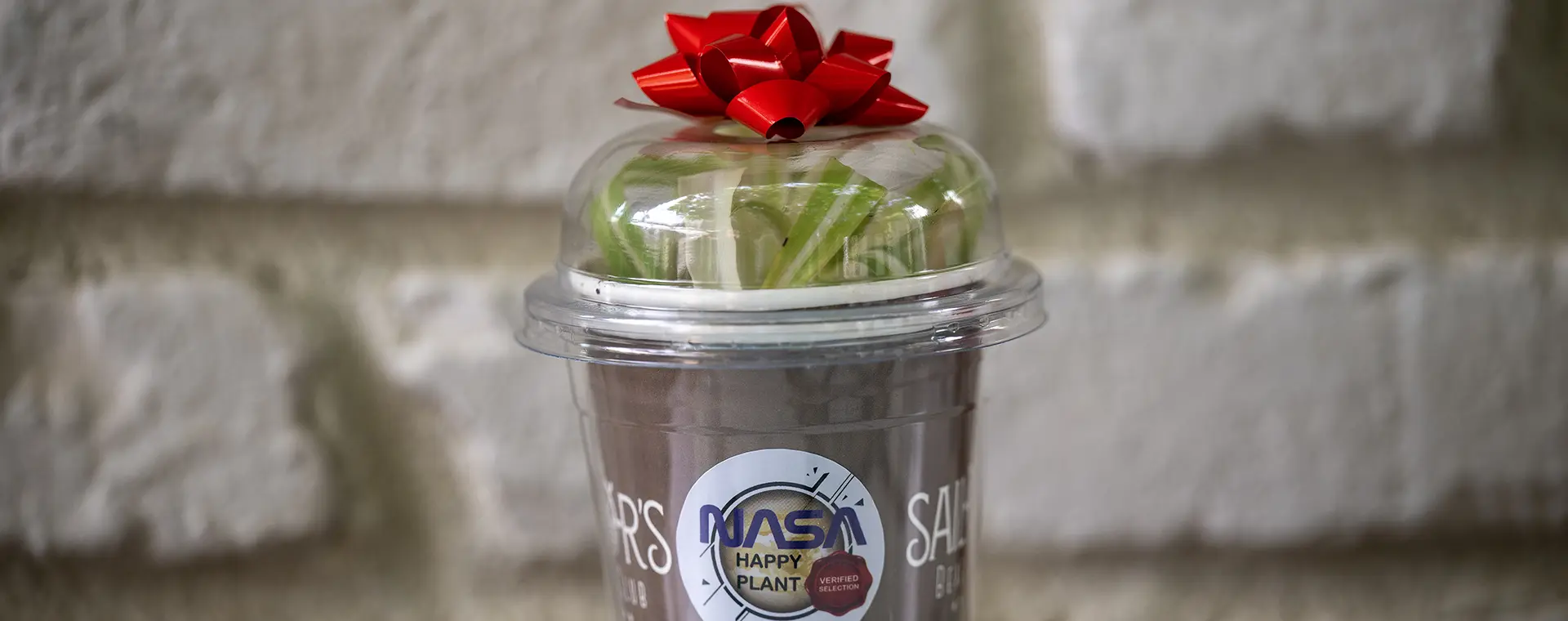 Sürdürülebilirlik